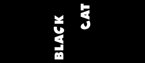 10-black-cat