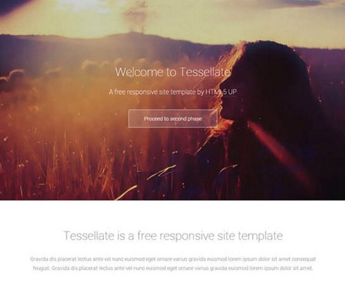 Tessellate-_-Premium-Responsive-Site-Template