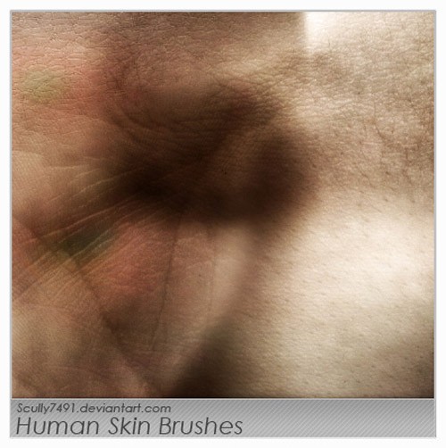 Human_Skin_Brushes_by_Scully7491